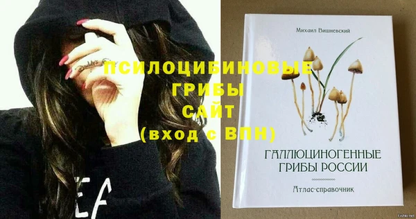 амфетамин Вяземский