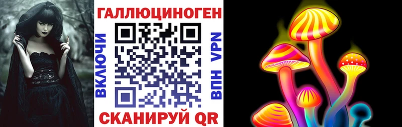 Псилоцибиновые грибы Cubensis  Купить где  Пикалёво 